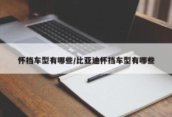 怀挡车型有哪些/比亚迪怀挡车型有哪些