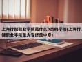 上海行健职业学院是什么b类的学校(上海行健职业学院是大专还是中专)