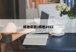 威驰新款/威驰2022