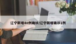 辽宁新增40例确诊/辽宁新增确诊1例