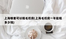 上海哪里可以租毛坯房(上海毛坯房一年能租多少钱)