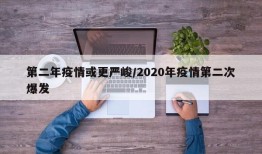 第二年疫情或更严峻/2020年疫情第二次爆发
