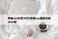 奔驰suv车型30万/奔驰suv最新价格2025款