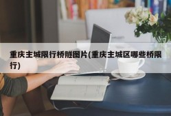 重庆主城限行桥隧图片(重庆主城区哪些桥限行)