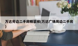 万达旁边二手房精装修(万达广场周边二手房)
