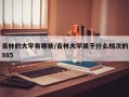 吉林的大学有哪些/吉林大学属于什么档次的985